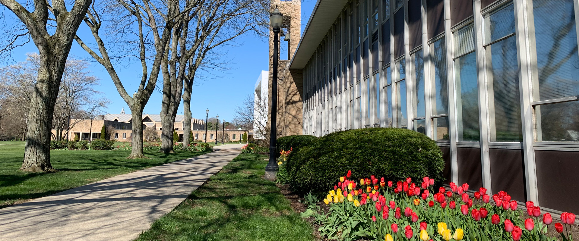 Campus in spring